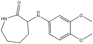 3-[(3,4-dimethoxyphenyl)amino]azepan-2-one 结构式