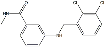 3-{[(2,3-dichlorophenyl)methyl]amino}-N-methylbenzamide 结构式