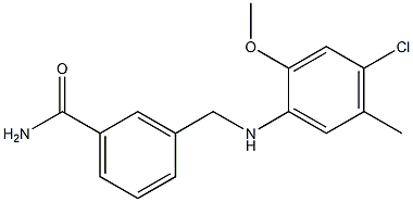 3-{[(4-chloro-2-methoxy-5-methylphenyl)amino]methyl}benzamide 结构式
