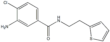 3-amino-4-chloro-N-(2-thien-2-ylethyl)benzamide 结构式