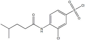 3-chloro-4-(4-methylpentanamido)benzene-1-sulfonyl chloride 结构式
