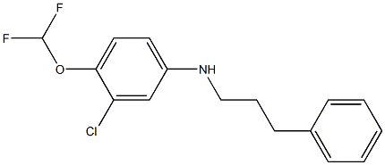 3-chloro-4-(difluoromethoxy)-N-(3-phenylpropyl)aniline 结构式