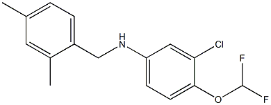 3-chloro-4-(difluoromethoxy)-N-[(2,4-dimethylphenyl)methyl]aniline 结构式