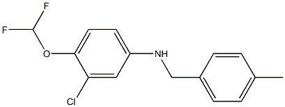 3-chloro-4-(difluoromethoxy)-N-[(4-methylphenyl)methyl]aniline 结构式