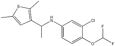 3-chloro-4-(difluoromethoxy)-N-[1-(2,5-dimethylthiophen-3-yl)ethyl]aniline 结构式