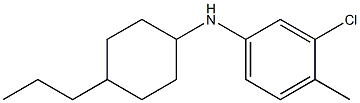 3-chloro-4-methyl-N-(4-propylcyclohexyl)aniline 结构式