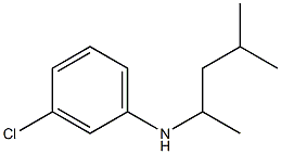 3-chloro-N-(4-methylpentan-2-yl)aniline 结构式