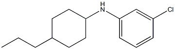 3-chloro-N-(4-propylcyclohexyl)aniline 结构式