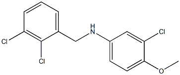 3-chloro-N-[(2,3-dichlorophenyl)methyl]-4-methoxyaniline 结构式