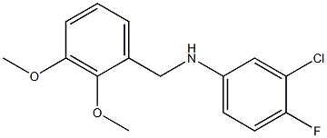 3-chloro-N-[(2,3-dimethoxyphenyl)methyl]-4-fluoroaniline 结构式