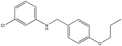 3-chloro-N-[(4-propoxyphenyl)methyl]aniline 结构式