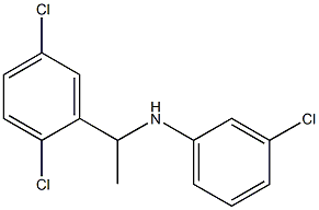 3-chloro-N-[1-(2,5-dichlorophenyl)ethyl]aniline 结构式