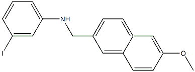 3-iodo-N-[(6-methoxynaphthalen-2-yl)methyl]aniline 结构式