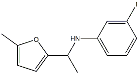 3-iodo-N-[1-(5-methylfuran-2-yl)ethyl]aniline 结构式