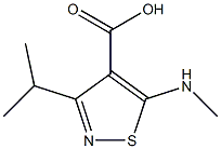 3-isopropyl-5-(methylamino)isothiazole-4-carboxylic acid 结构式