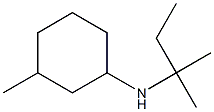 3-methyl-N-(2-methylbutan-2-yl)cyclohexan-1-amine 结构式