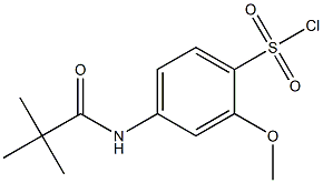 4-(2,2-dimethylpropanamido)-2-methoxybenzene-1-sulfonyl chloride 结构式