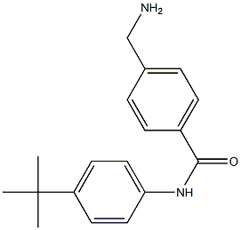 4-(aminomethyl)-N-(4-tert-butylphenyl)benzamide 结构式