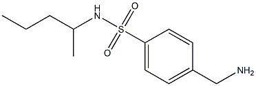 4-(aminomethyl)-N-(pentan-2-yl)benzene-1-sulfonamide 结构式