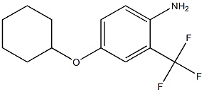 4-(cyclohexyloxy)-2-(trifluoromethyl)aniline 结构式