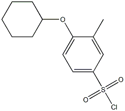 4-(cyclohexyloxy)-3-methylbenzene-1-sulfonyl chloride 结构式