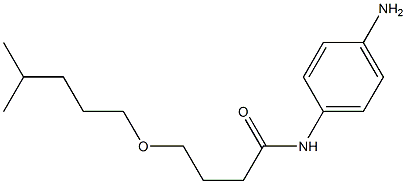 N-(4-aminophenyl)-4-[(4-methylpentyl)oxy]butanamide 结构式