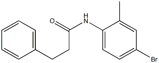 N-(4-bromo-2-methylphenyl)-3-phenylpropanamide 结构式