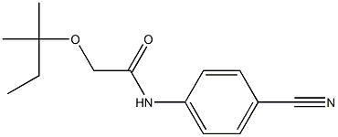 N-(4-cyanophenyl)-2-[(2-methylbutan-2-yl)oxy]acetamide 结构式