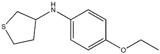 N-(4-ethoxyphenyl)thiolan-3-amine 结构式