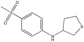 N-(4-methanesulfonylphenyl)thiolan-3-amine 结构式