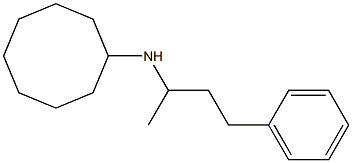 N-(4-phenylbutan-2-yl)cyclooctanamine 结构式