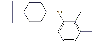 N-(4-tert-butylcyclohexyl)-2,3-dimethylaniline 结构式