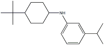 N-(4-tert-butylcyclohexyl)-3-(propan-2-yl)aniline 结构式