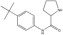 N-(4-tert-butylphenyl)pyrrolidine-2-carboxamide 结构式