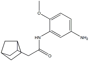 N-(5-amino-2-methoxyphenyl)-2-{bicyclo[2.2.1]heptan-2-yl}acetamide 结构式
