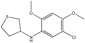 N-(5-chloro-2,4-dimethoxyphenyl)thiolan-3-amine 结构式