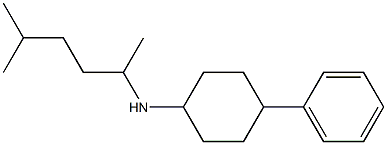 N-(5-methylhexan-2-yl)-4-phenylcyclohexan-1-amine 结构式
