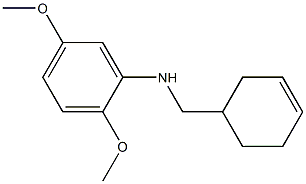 N-(cyclohex-3-en-1-ylmethyl)-2,5-dimethoxyaniline 结构式