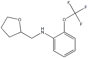 N-(oxolan-2-ylmethyl)-2-(trifluoromethoxy)aniline 结构式