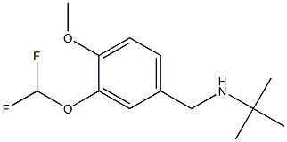 N-(tert-butyl)-N-[3-(difluoromethoxy)-4-methoxybenzyl]amine 结构式