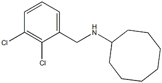 N-[(2,3-dichlorophenyl)methyl]cyclooctanamine 结构式