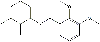 N-[(2,3-dimethoxyphenyl)methyl]-2,3-dimethylcyclohexan-1-amine 结构式