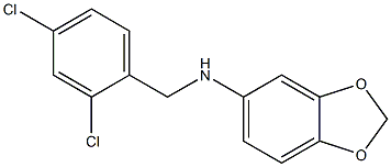 N-[(2,4-dichlorophenyl)methyl]-2H-1,3-benzodioxol-5-amine 结构式
