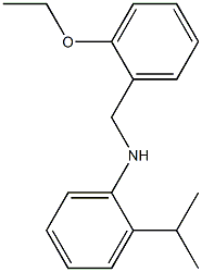 N-[(2-ethoxyphenyl)methyl]-2-(propan-2-yl)aniline 结构式