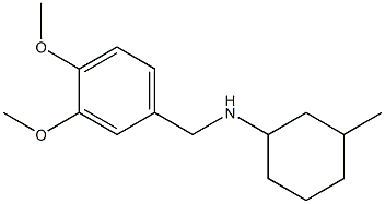 N-[(3,4-dimethoxyphenyl)methyl]-3-methylcyclohexan-1-amine 结构式