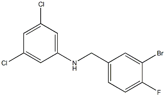 N-[(3-bromo-4-fluorophenyl)methyl]-3,5-dichloroaniline 结构式