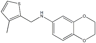 N-[(3-methylthiophen-2-yl)methyl]-2,3-dihydro-1,4-benzodioxin-6-amine 结构式