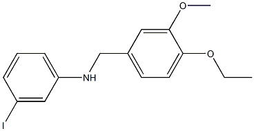 N-[(4-ethoxy-3-methoxyphenyl)methyl]-3-iodoaniline 结构式