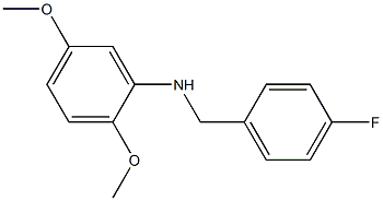 N-[(4-fluorophenyl)methyl]-2,5-dimethoxyaniline 结构式