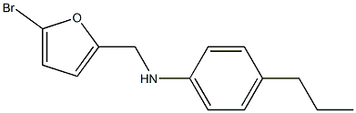 N-[(5-bromofuran-2-yl)methyl]-4-propylaniline 结构式